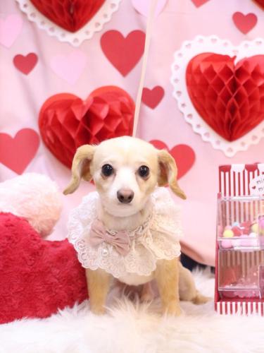 20240228ちくわくん